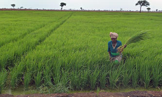 Land Grabbing, la corsa a impadronirsi della terra